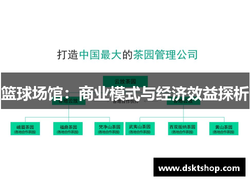 篮球场馆：商业模式与经济效益探析